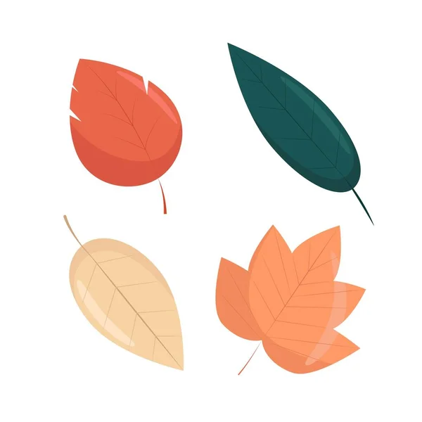 Set of autumn leaves in flat style, vector illustration of bright autumn leaves, isolated — Image vectorielle