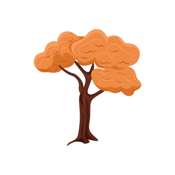Podzimní strom se zažloutlými listy, ploché ilustrace.Vektorový objekt v kresleném stylu na bílém pozadí. Izolovat — Stockový vektor