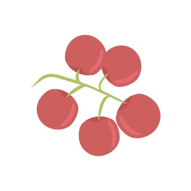 Kiraz domateslerinin çizim dalı, sonbahar hasadı.