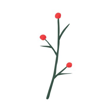 El çizimi düz vektör karikatür tarzı çizim. Kutsal ağaç, ökseotu ya da dalda ilex çileği. Element kartları, sunum dekorasyon tasarım sembolü pankartları.