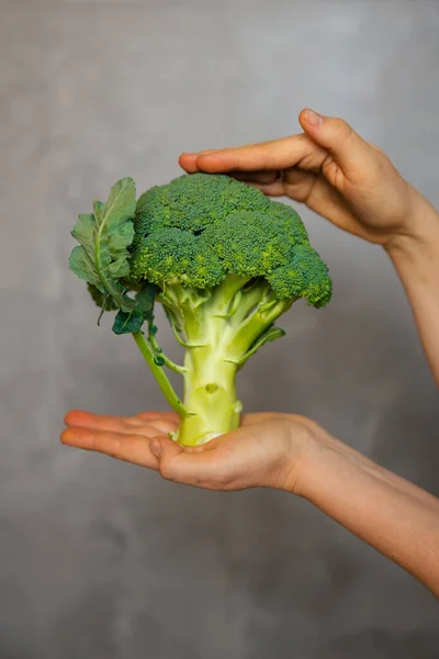 Сырая брокколи в руке. Вегетарианское питание или диета. — стоковое фото