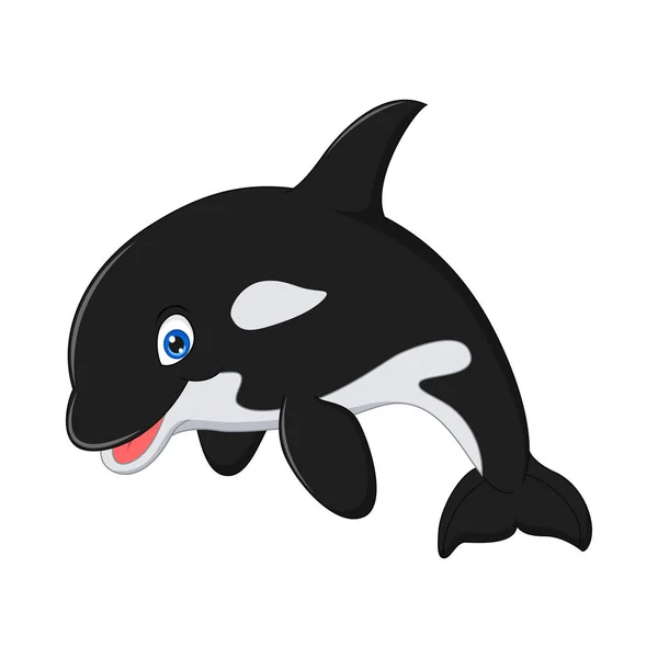 白を背景にした漫画キラークジラのベクトルイラスト — ストックベクタ