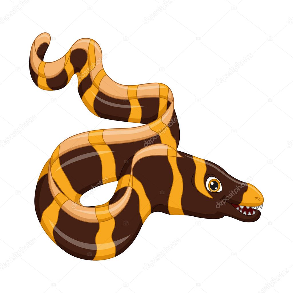 Vector illustration of Cartoon funny eel on white background
