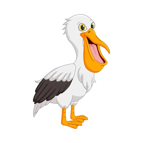 Ilustração Vetorial Cartoon Engraçado Pelicano Sobre Fundo Branco — Vetor de Stock