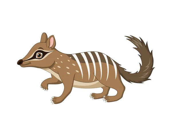 Illustration Vectorielle Dessin Animé Drôle Numbat Sur Fond Blanc — Image vectorielle