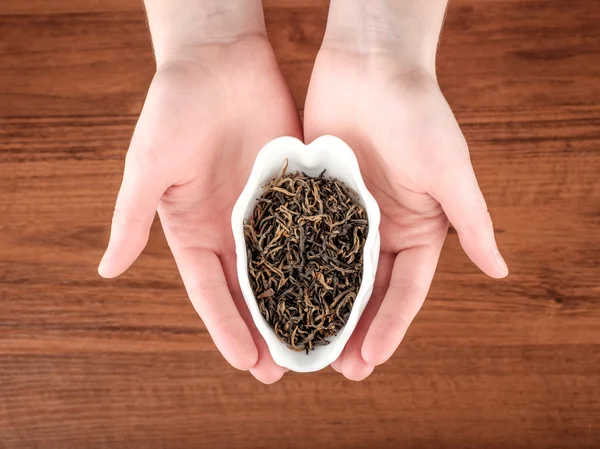 Té en las manos — Foto de Stock