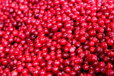 Donmuş kırmızı kızılcık