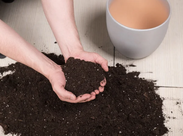 Trasplante de una planta — Foto de Stock