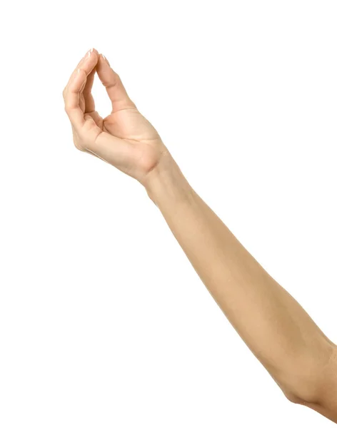 Δίνοντας Αγγίζοντας Κρατώντας Χέρι Γυναικείο Χέρι Γαλλικό Μανικιούρ Gesturing Απομονώνονται — Φωτογραφία Αρχείου