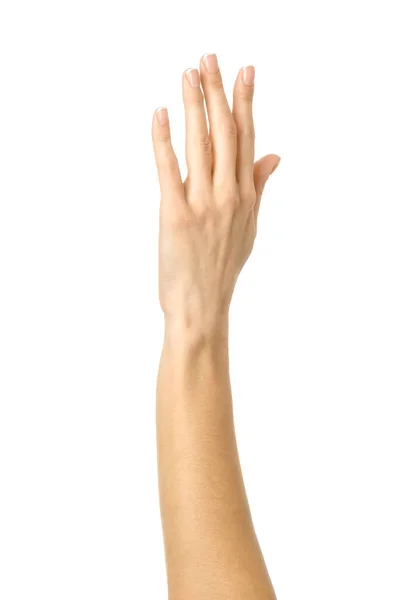 Podniesiona ręka głosuje lub sięga. Kobieta ręka gestykulując izolowane na białym — Zdjęcie stockowe