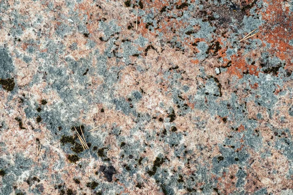 Muschio colorato sulla roccia. Pietra sfondo naturale — Foto Stock