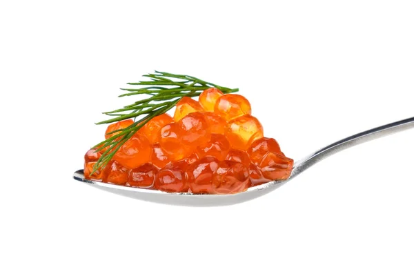 Caviar vermelho com endro — Fotografia de Stock