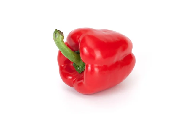 Ένα κόκκινο πιπέρι — Φωτογραφία Αρχείου