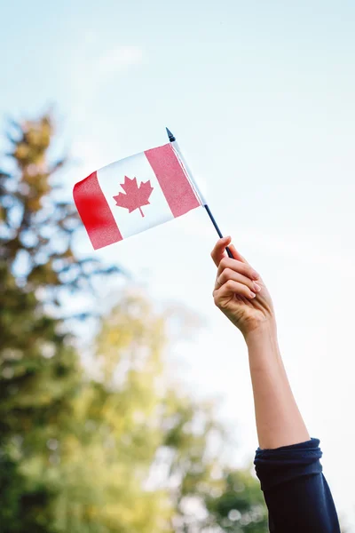 Gambar close-up makro lengan tangan melambaikan bendera kanadian putih merah dengan daun maple di langit biru dan latar belakang alam hutan hijau di luar — Stok Foto