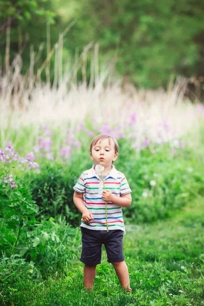 Portrait of a cute funny little boy toddler standing in the forest field meadow with dandelion flowers in hands and blowing them on a bright summer day, summer fun, copyspace for text — Stockfoto