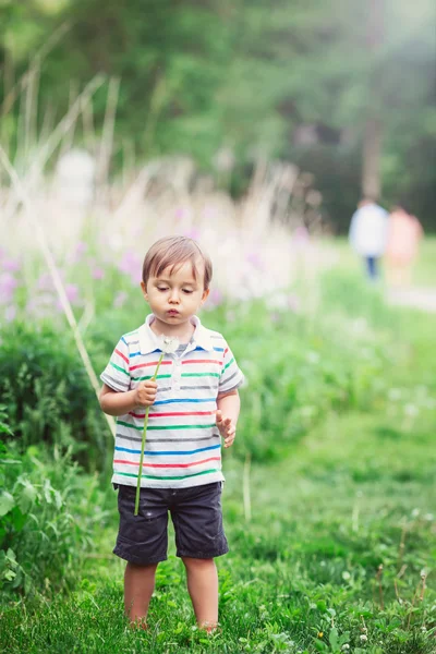 Portrait of a cute funny little boy toddler standing in the forest field meadow with dandelion flowers in hands and blowing them on a bright summer day, summer fun, lens flare from above — Stockfoto