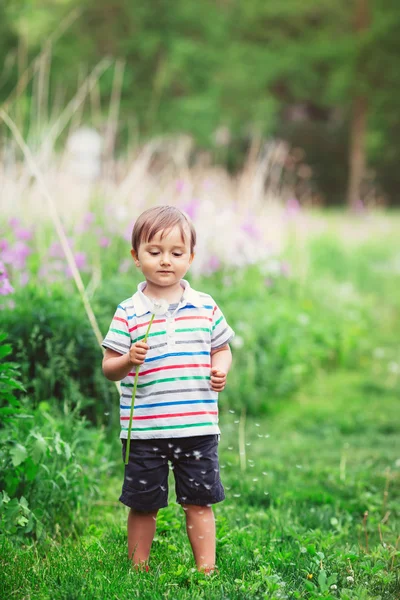 Retrato de um menino engraçado bonito criança em pé no prado do campo da floresta com flores de dente de leão nas mãos e soprando-os em um dia brilhante de verão, diversão de verão, espaço para texto — Fotografia de Stock