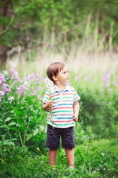 Retrato de un lindo niño divertido niño de pie en el prado del campo forestal con flores de diente de león en las manos y soplándolas en un día de verano brillante, diversión de verano, espacio de copia para el texto — Foto de Stock