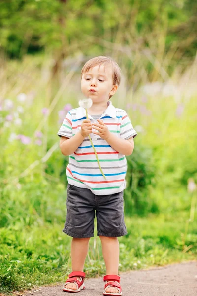 Retrato de um menino engraçado bonito criança em pé no prado do campo da floresta com flores de dente de leão nas mãos e soprando-os em um dia brilhante de verão, diversão de verão, espaço para texto — Fotografia de Stock
