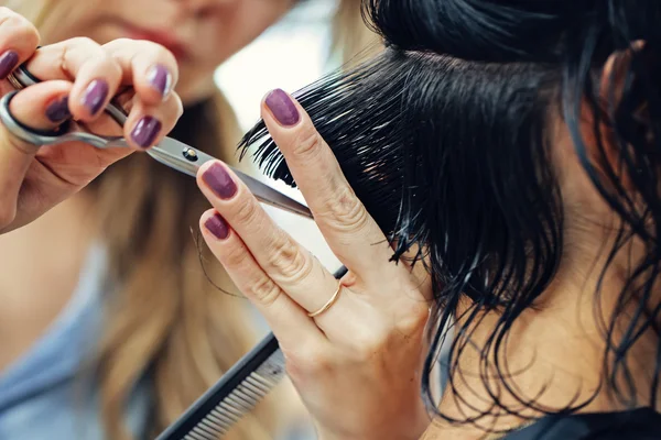 Closeup macro shot image of hairstylist hairdresser cutting customer woman hair in salon with scissors and comb, look from behind back side