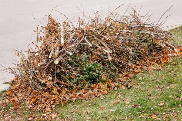 Купка розрізаних старих гілок сухого дерева з осіннім осіннім листям на них, сміття сміття на землі, текстура тла — стокове фото