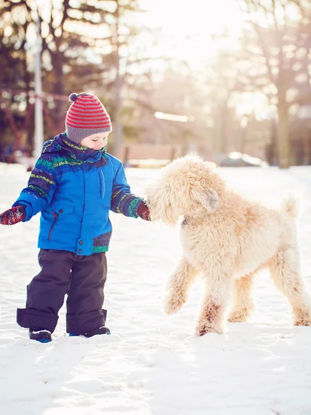 Happy toddler white Caucasian boy berlari dan bermain dengan anjing putih di luar pada hari musim dingin — Stok Foto