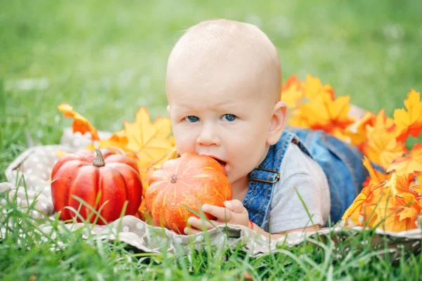 Portret ładny zabawny ładny blond Kaukaska chłopca z niebieskimi oczami w romper tshirt i dżinsy, leżąc na trawie pole łąka, żółty jesień liści, jedzenie dyni. Halloween, Święto Dziękczynienia. — Zdjęcie stockowe