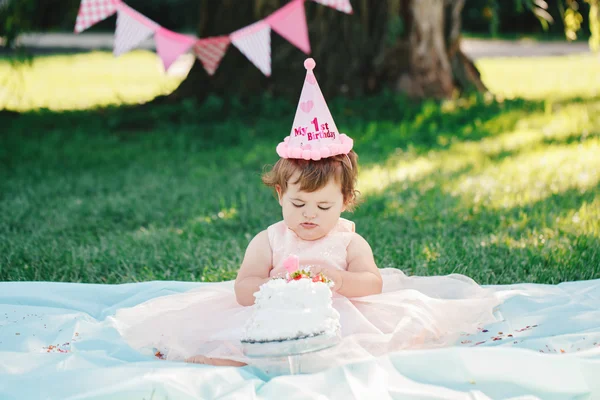 Portrait of cute adorable Caucasian baby girl with dark brown eyes in pink tutu dress celebrating her first birthday with gourmet cake outside in park, cake smash