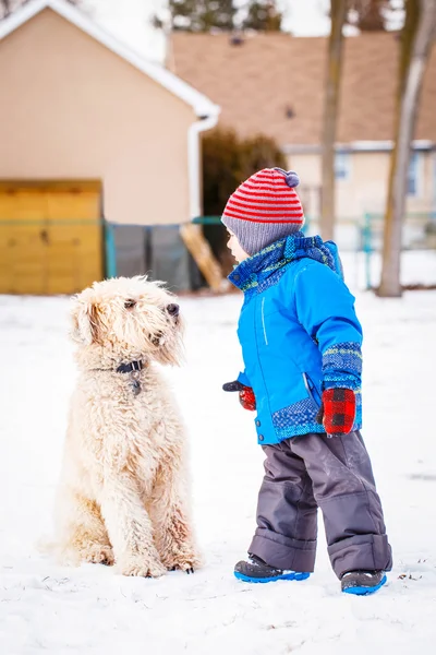 Happy toddler putih anak Kaukasia berjalan dan bermain dengan salju dan putih besar hewan peliharaan anjing luar di hari musim dingin — Stok Foto