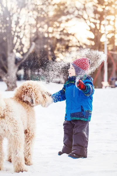 Happy toddler putih anak Kaukasia berjalan dan bermain dengan salju dan putih besar hewan peliharaan anjing luar di hari musim dingin — Stok Foto