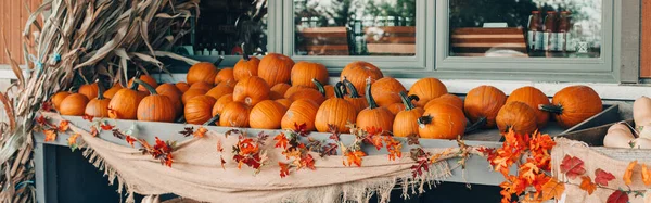 Červené Dýně Koších Podle Obchodu Farmě Podzimní Úroda Díkůvzdání Halloweenské — Stock fotografie