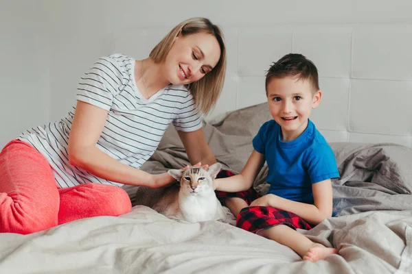 Kaukasia Ibu Dan Anak Petting Oriental Titik Berwarna Kucing Ibu — Stok Foto