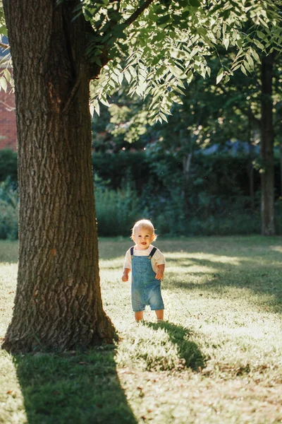 Menino Bonito Sob Enorme Árvore Grande Parque Pôr Sol Criança — Fotografia de Stock