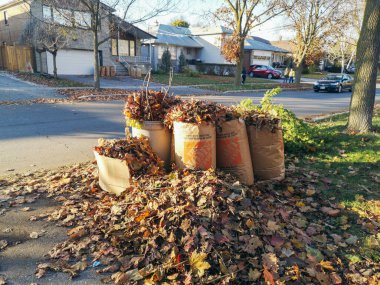 Toronto, Ontario, Kanada - 4 Kasım 2020: Eski kurumuş sonbahar yaprakları Home Depot mağazasından toplanan kağıt geri dönüşüm torbaları. Şehir sokaklarında çöp dolu kahverengi çantaları geri dönüştür.