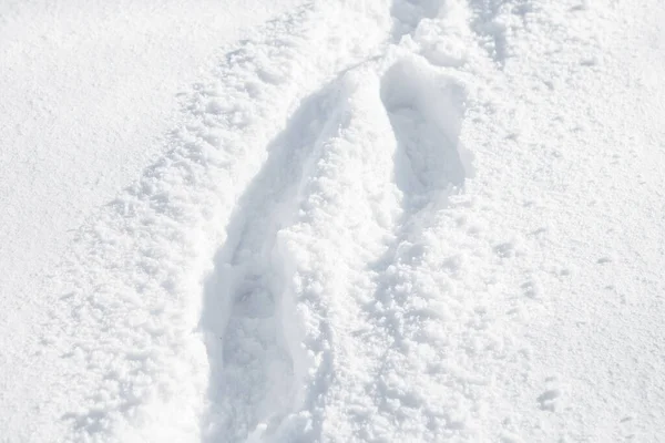 Neige Blanche Texture Hivernale Avec Empreintes Pas Noël Fond Lumière — Photo