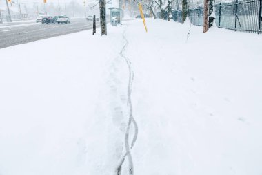 Toronto, Ontario, Kanada 'da şiddetli kar ve kar fırtınası. Yolda temiz kar üzerinde bisiklet rayı var. Kar fırtınası ve kötü kış koşulları. Doğadaki güzellik..