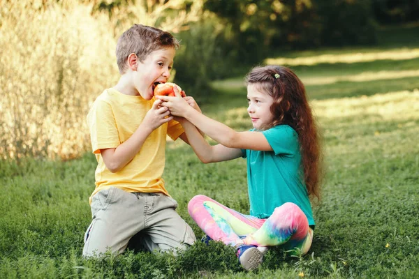 Niños Caucásicos Niños Niñas Hermanos Sentados Juntos Compartiendo Manzana Dos —  Fotos de Stock