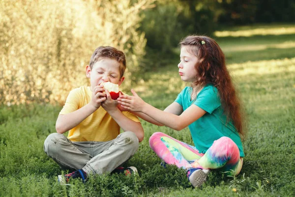 白人の子供たち男の子と女の子の兄弟がリンゴを共有して座っています 夏の屋外で公園で甘い果物を食べる2人の子供の弟と妹 永遠に親友だ 健康的な幸せな子供時代 — ストック写真