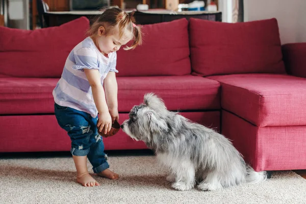 Søtt Lite Barn Som Mater Hunden Med Mat Fra Tallerkenen – stockfoto