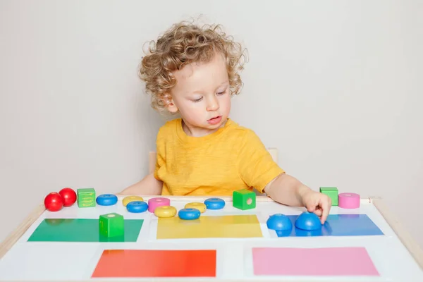 Мальчик Играющий Игрушками Дома Школе Детская Сортировка Организующая Блоки Объектов — стоковое фото