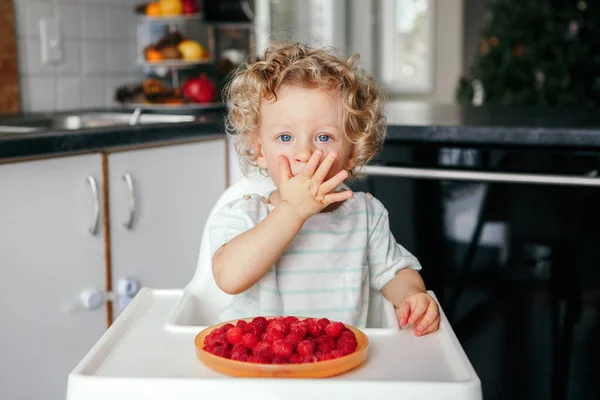 かわいい白人の赤ちゃんの男の子は自宅で熟した赤い果物を食べています 面白い子供はキッチンで新鮮なベリーと高い椅子に座っています 幼児のための補足健康的なフィンガーフード ストックフォト