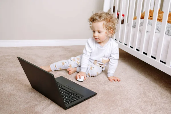 Cute Blonde Curly Toddler Baby Boy Working Laptop Little Kid — Stock Photo, Image