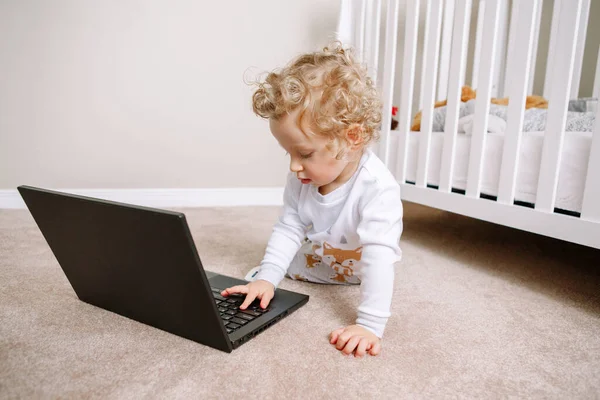 Cute Blonde Curly Toddler Baby Boy Working Laptop Little Kid Stock Picture