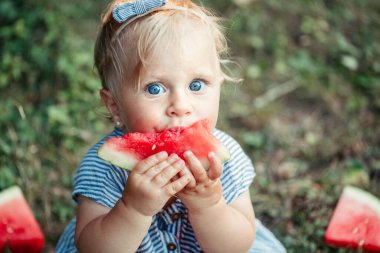 Yaz pikniği yemeği. Parkta olgun kırmızı karpuz yiyen beyaz bir kız bebek. Komik çocuk dışarıda taze meyveyle yerde oturuyor. Bebekler için sağlıklı parmak yiyeceği.. 