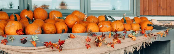感謝祭とハロウィーンの休日の準備 農場の棚に赤オレンジ色のカボチャ 秋の収穫 屋外の装飾を保存します 新鮮な季節の野菜の屋外 Webバナーヘッダー — ストック写真