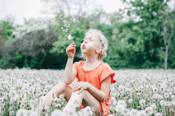 Membuat Permohonan Gadis Kaukasia Meniup Bunga Dandelion Anak Duduk Rumput — Stok Foto