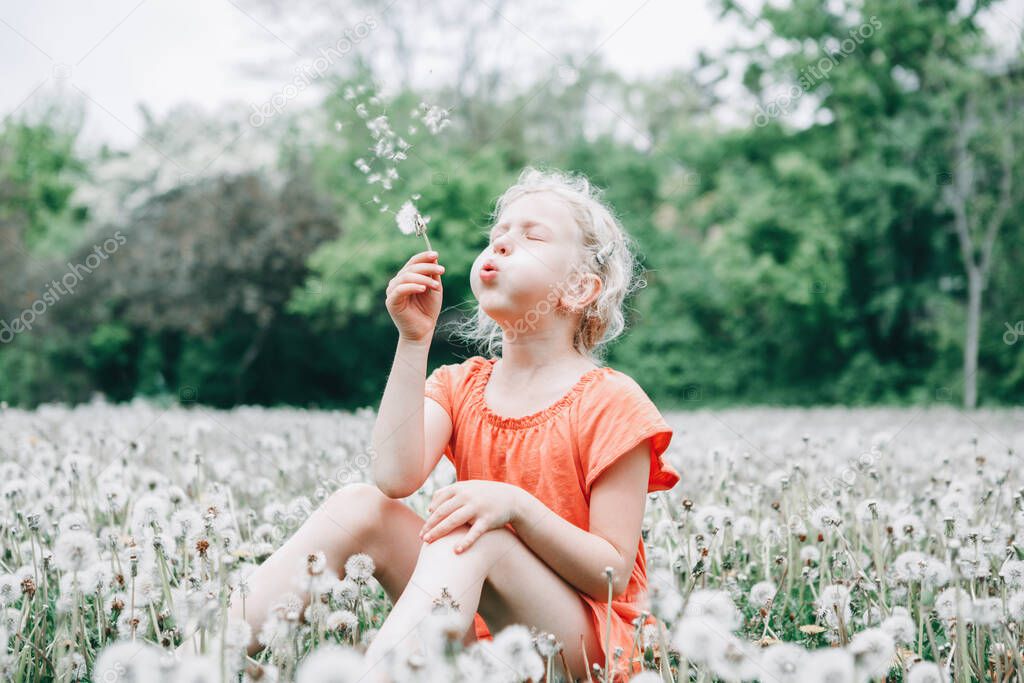 Making a wish. Caucasian girl blowing dandelion flower. Kid sitting in grass on meadow. Outdoor fun summer seasonal children activity. Child having fun outside. Happy childhood lifestyle.
