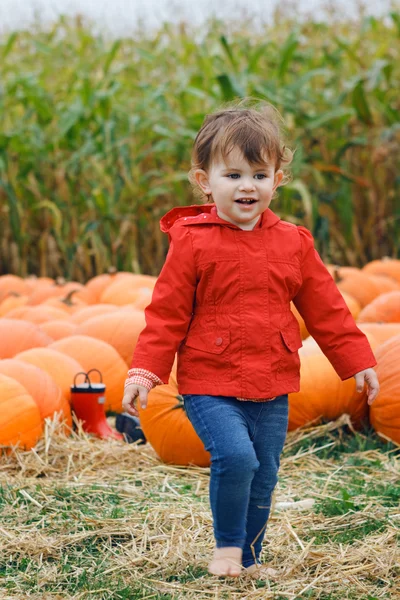 Baby with pumpkins on farm, Halloween — Stock Photo, Image