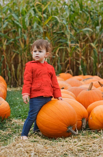 Baby with pumpkins on farm, Halloween — Stock Photo, Image
