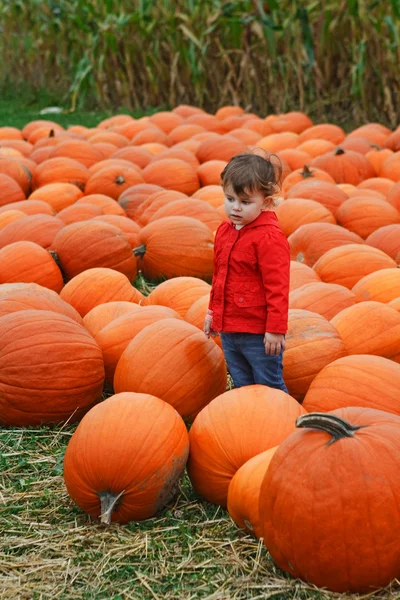 Baby with pampkins, halloween — Stock Photo, Image